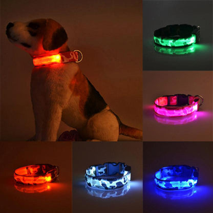 Camouflage pet supplies luminous dog collar - Paws R US