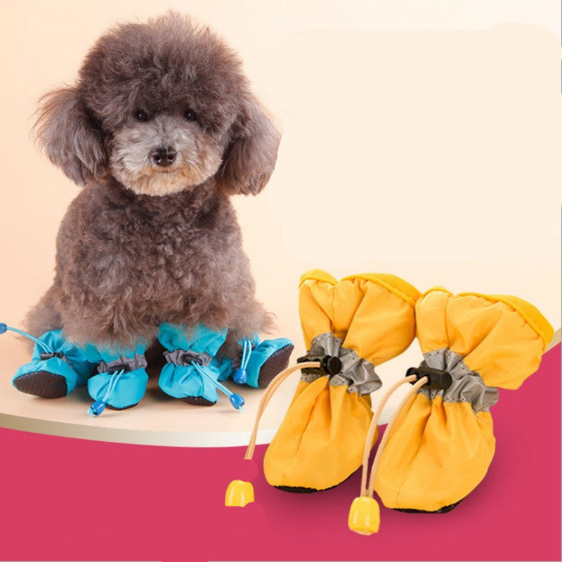 Teddy Dog Shoes