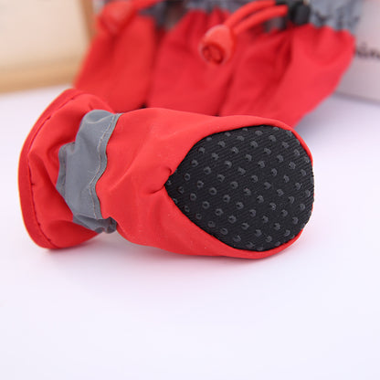 Teddy Dog Shoes