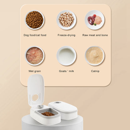 Smart Automatic Pet Feeder Dispenser