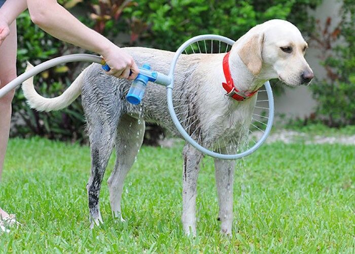 Fully automatic 360 degree pet supplies bath ring - Paws R US