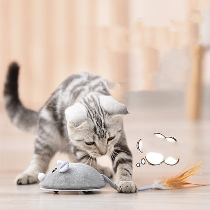 Pet Cat Toy Crawling Mouse With USB Charging - Paws R US