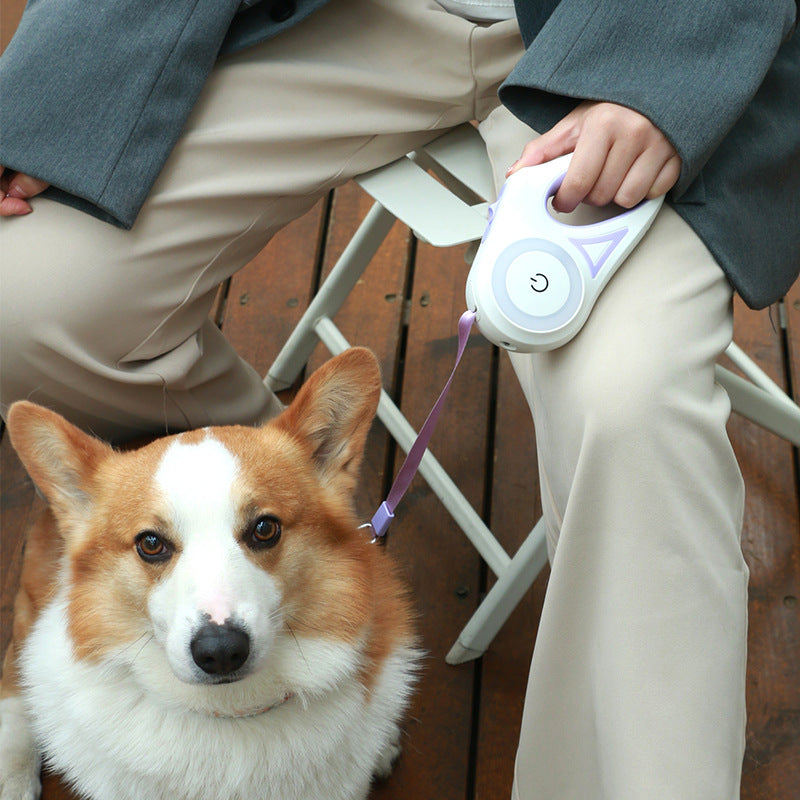 Automatic Dog Retractable Leash And Collar