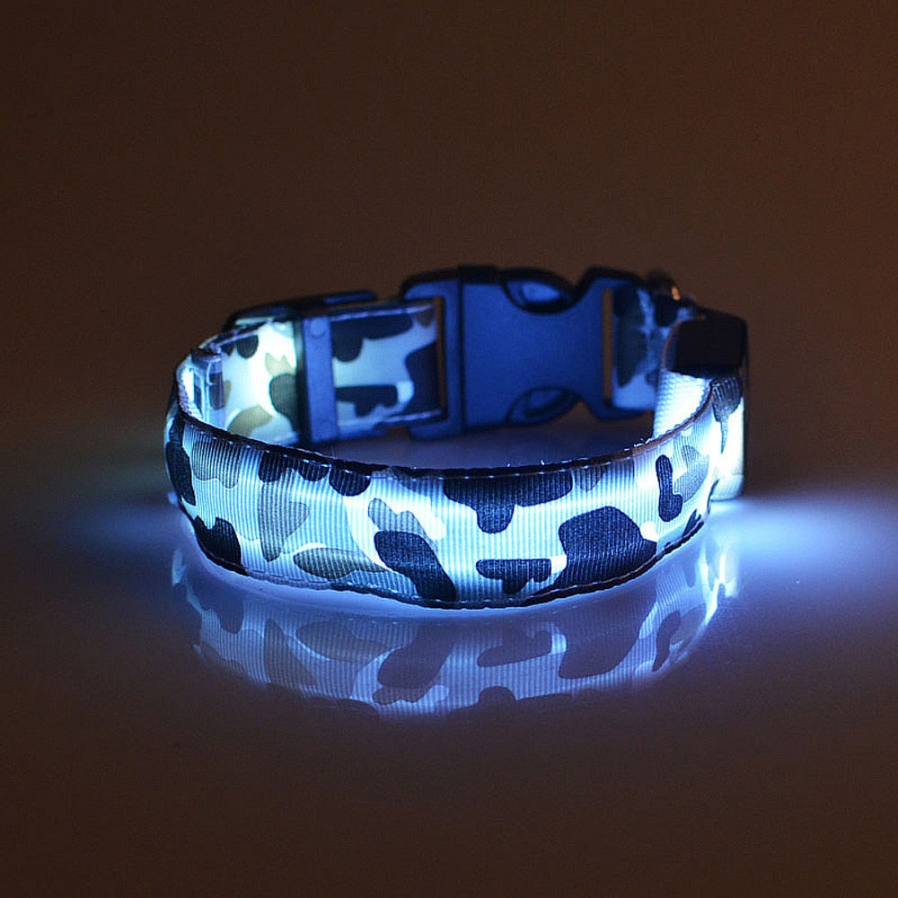 Camouflage pet supplies luminous dog collar - Paws R US