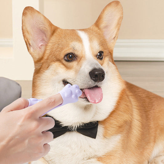 Dog Finger Toothbrush Small Dog Cleaning - Paws R US