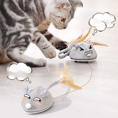 Pet Cat Toy Crawling Mouse With USB Charging - Paws R US