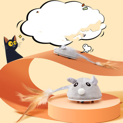 Pet Cat Toy Crawling Mouse With USB Charging - Paws R US